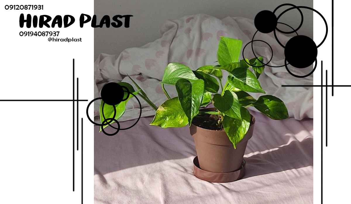 قیمت گلدان پلاستیکی