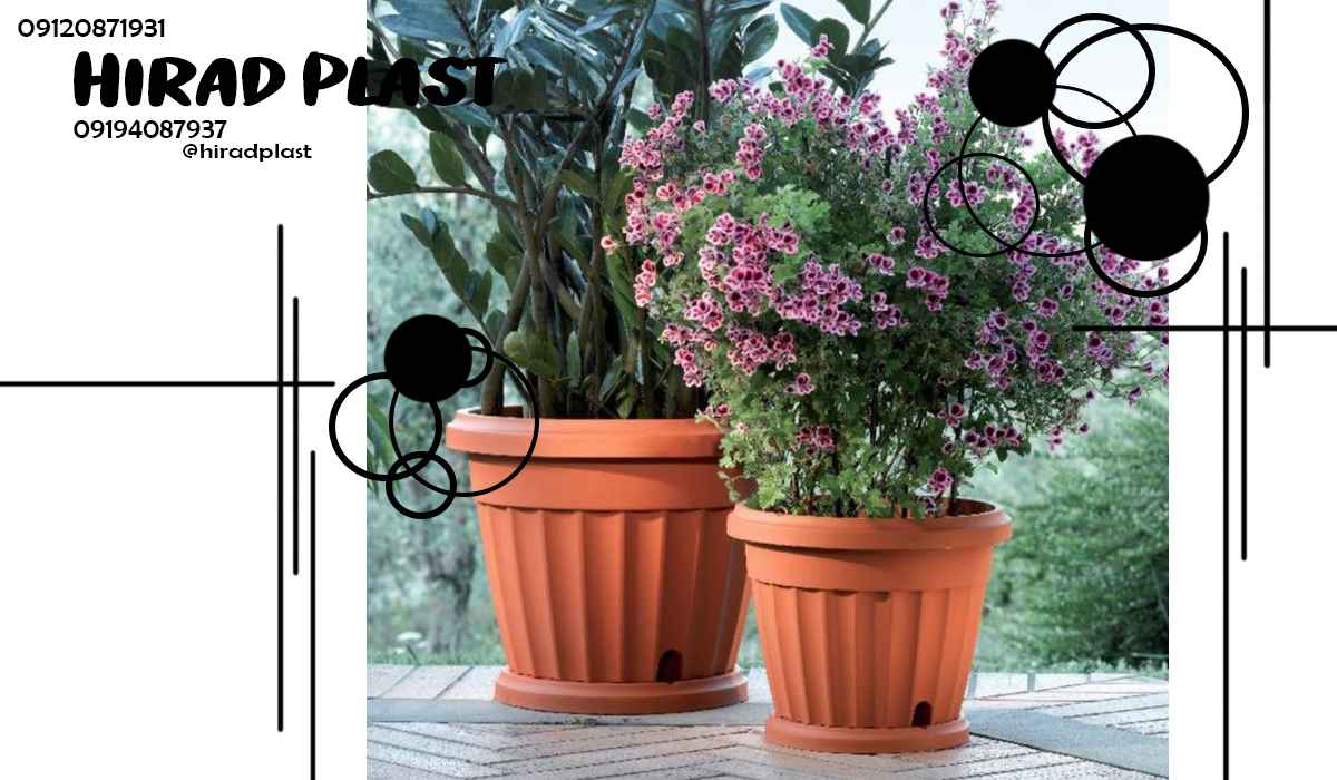 گلدان آپارتمانی