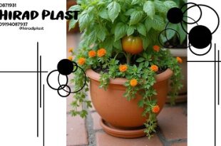 گلدان اپارتمانی