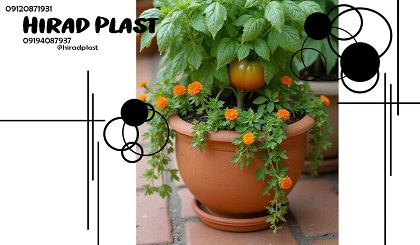 گلدان اپارتمانی