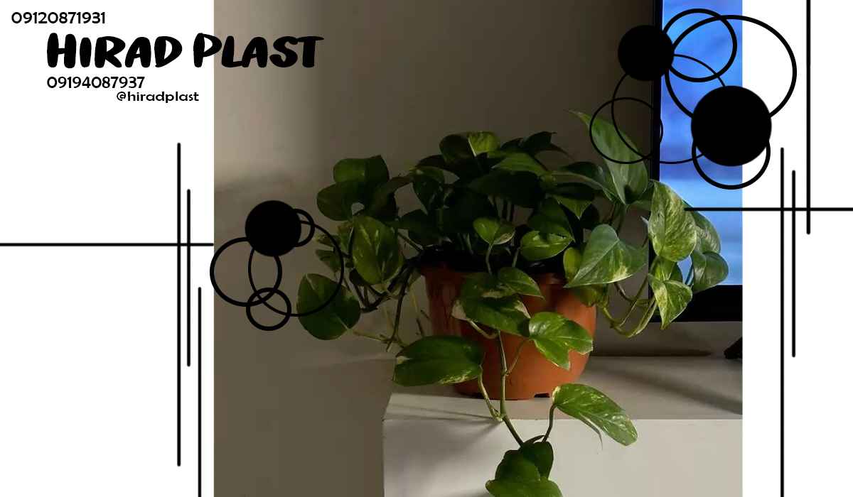 گلدان پلاستیکی ارزان