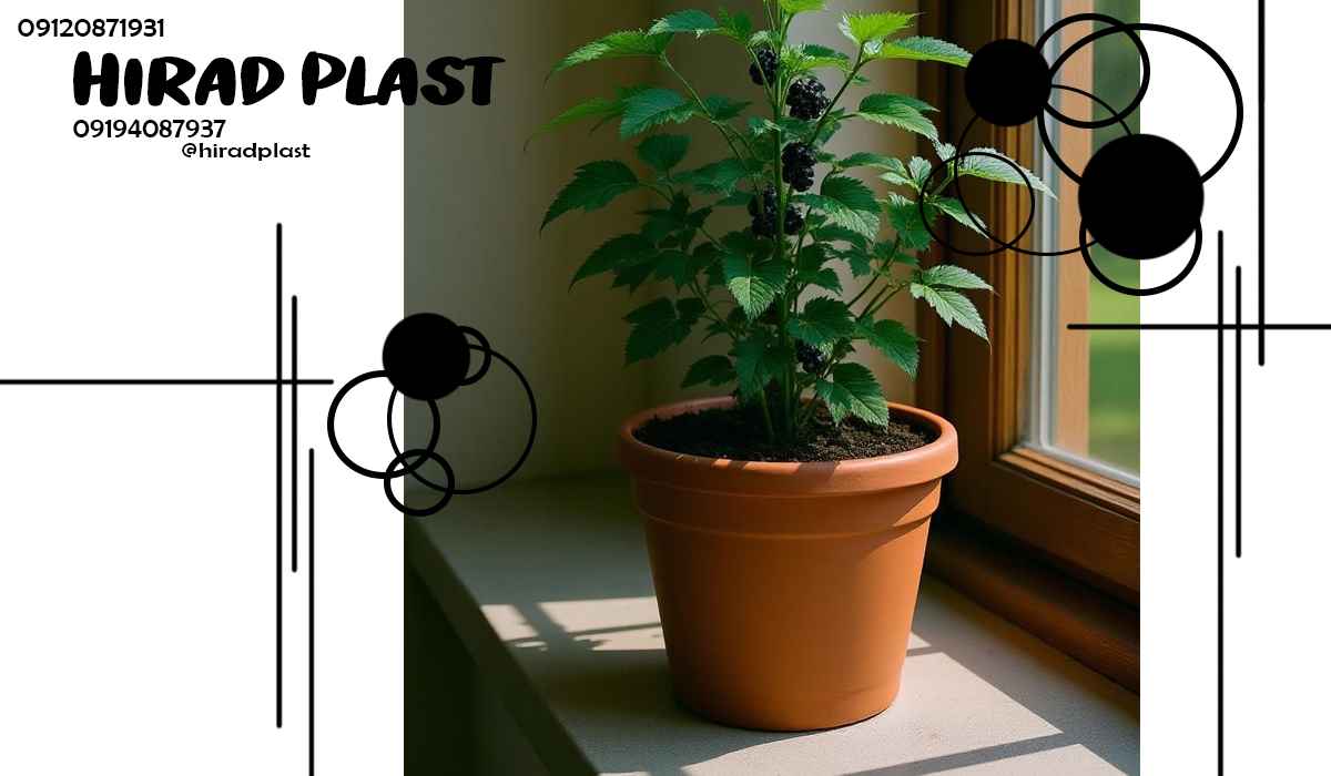 گلدان پلاستیکی تراس