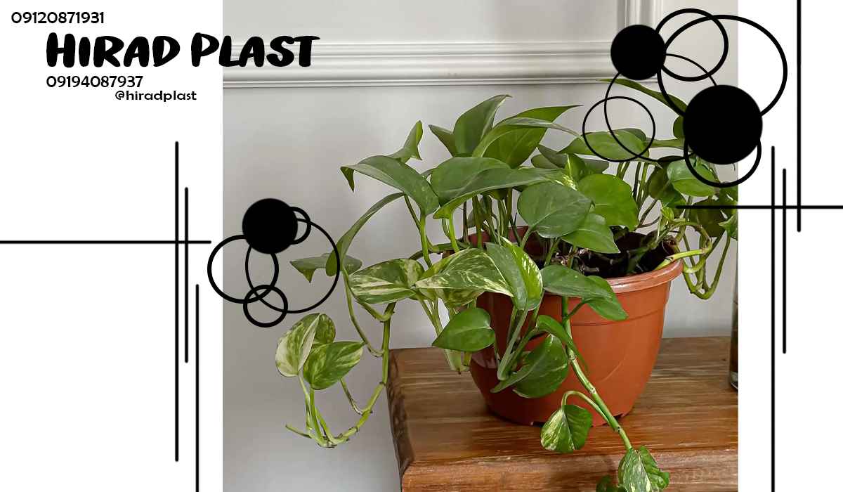 گلدان پلاستیکی گرد