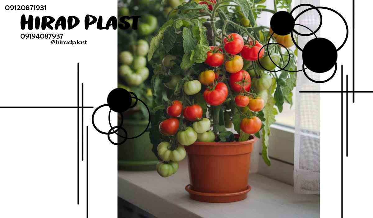 گلدان پلاستیکی گلسرخ