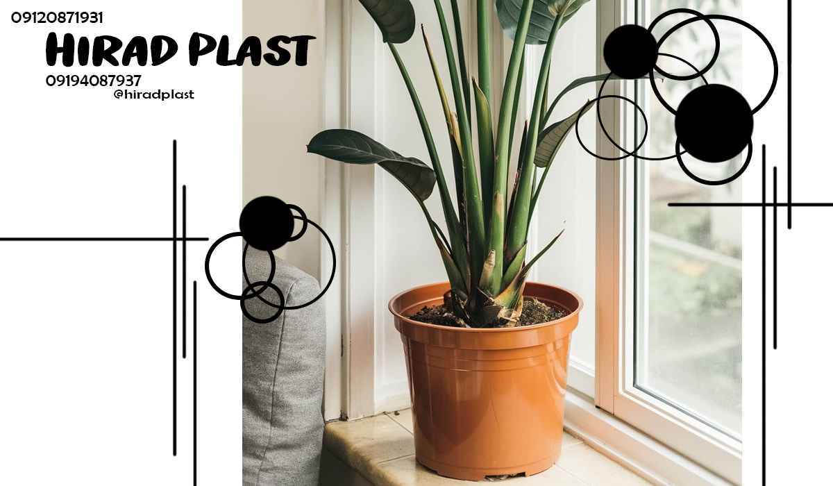 گلدان پلاستیکی