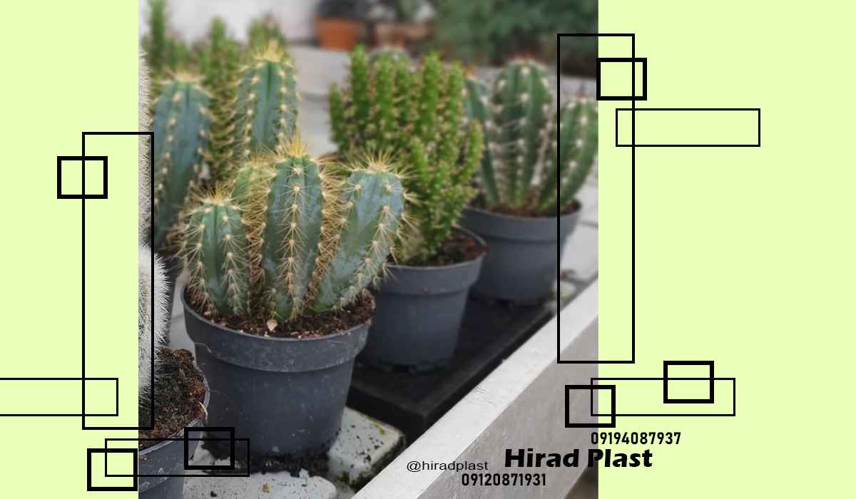خرید گلدان پلاستیکی