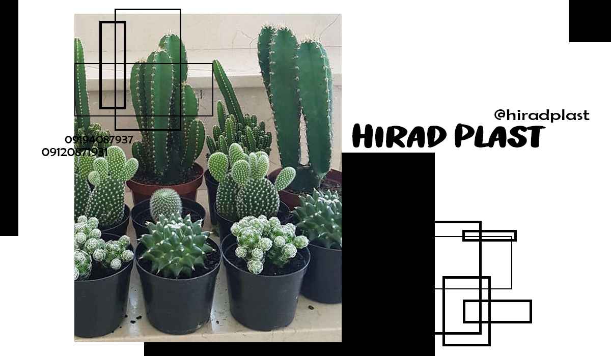 خرید گلدان پلاستیکی