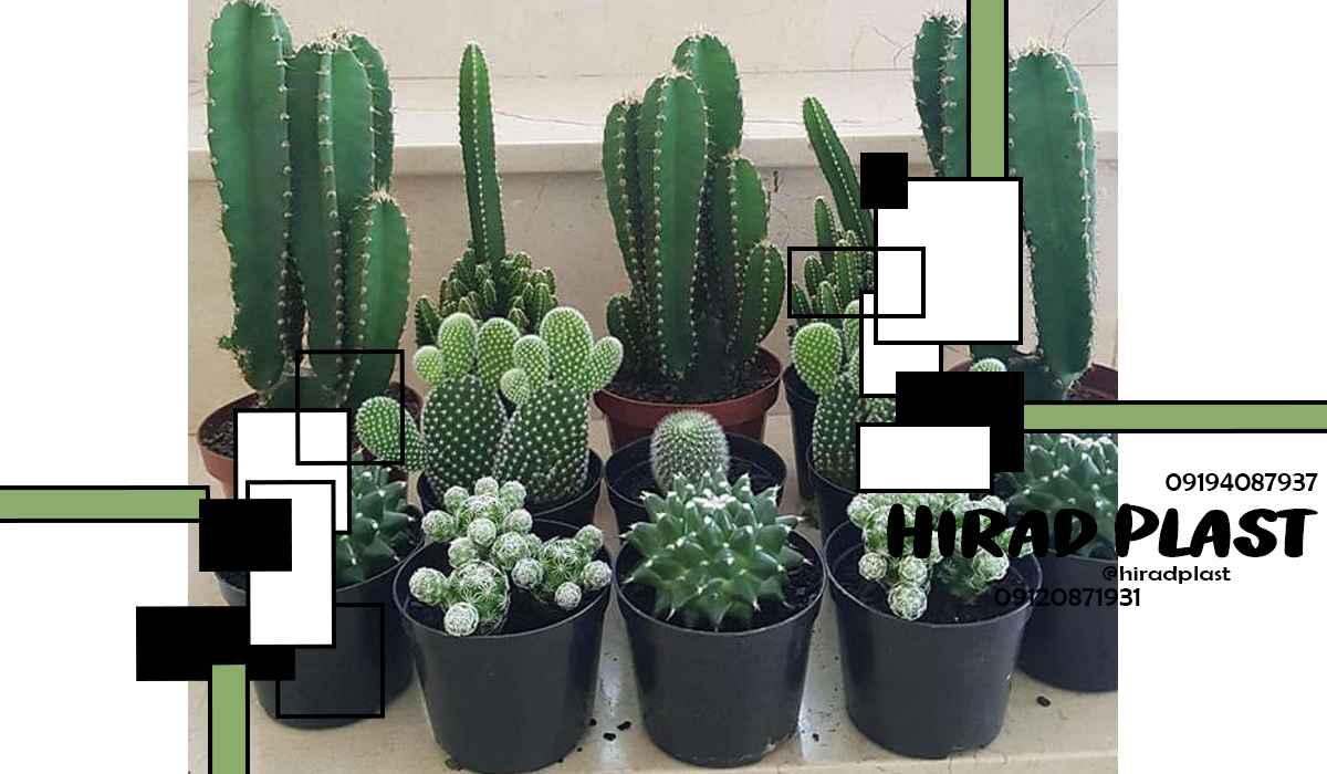 خرید گلدان پلاستیکی