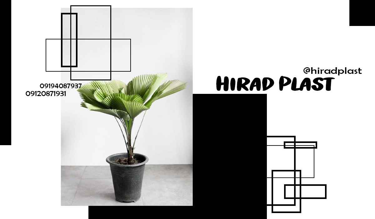 قیمت گلدان پلاستیکی