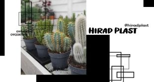 گلدان پلاستیکی