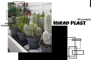 گلدان پلاستیکی