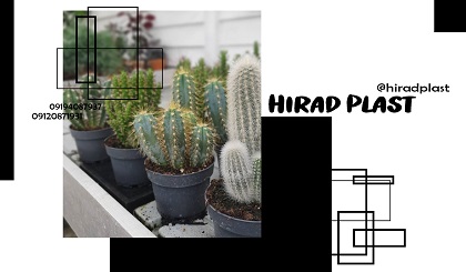 گلدان پلاستیکی