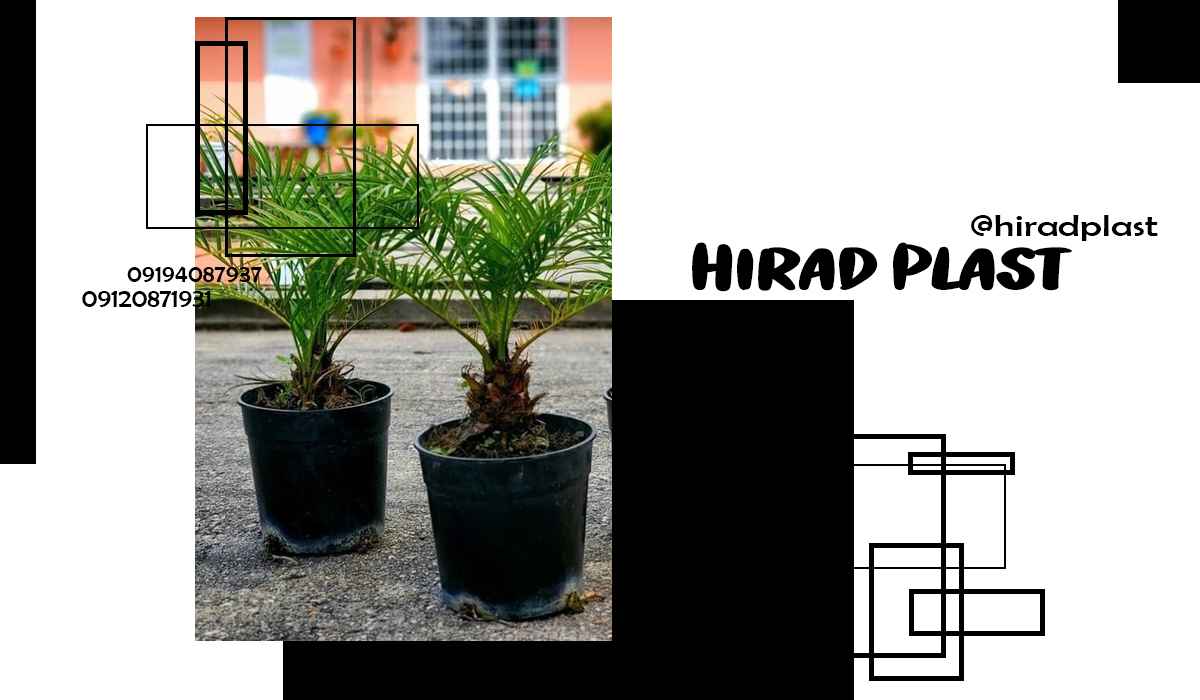 گلدان پلاستیکی ارزان