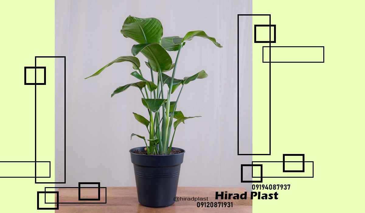 گلدان پلاستیکی ارزان