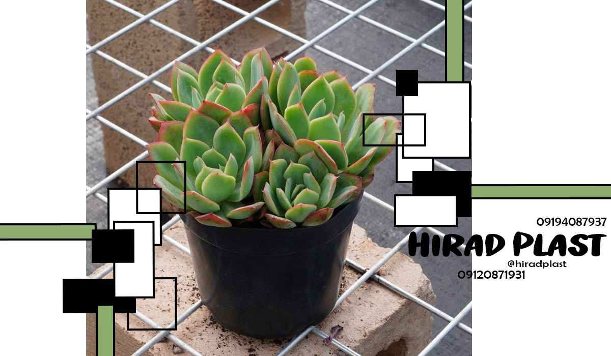 گلدان پلاستیکی باغی