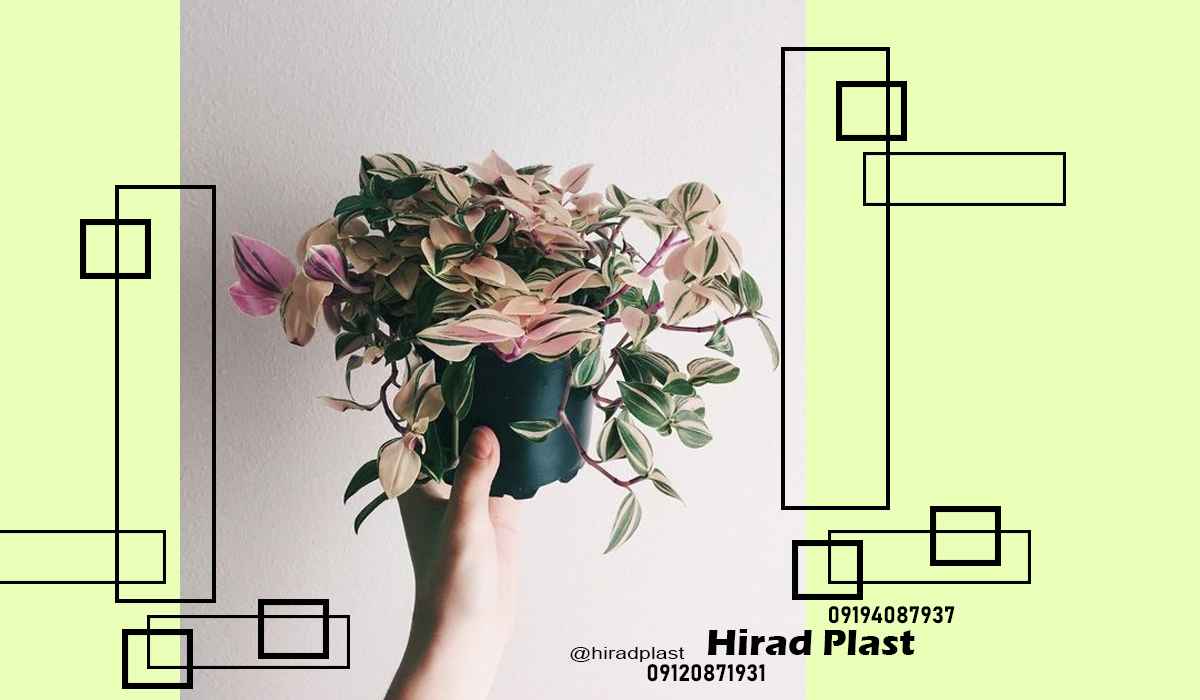 گلدان پلاستیکی باغی