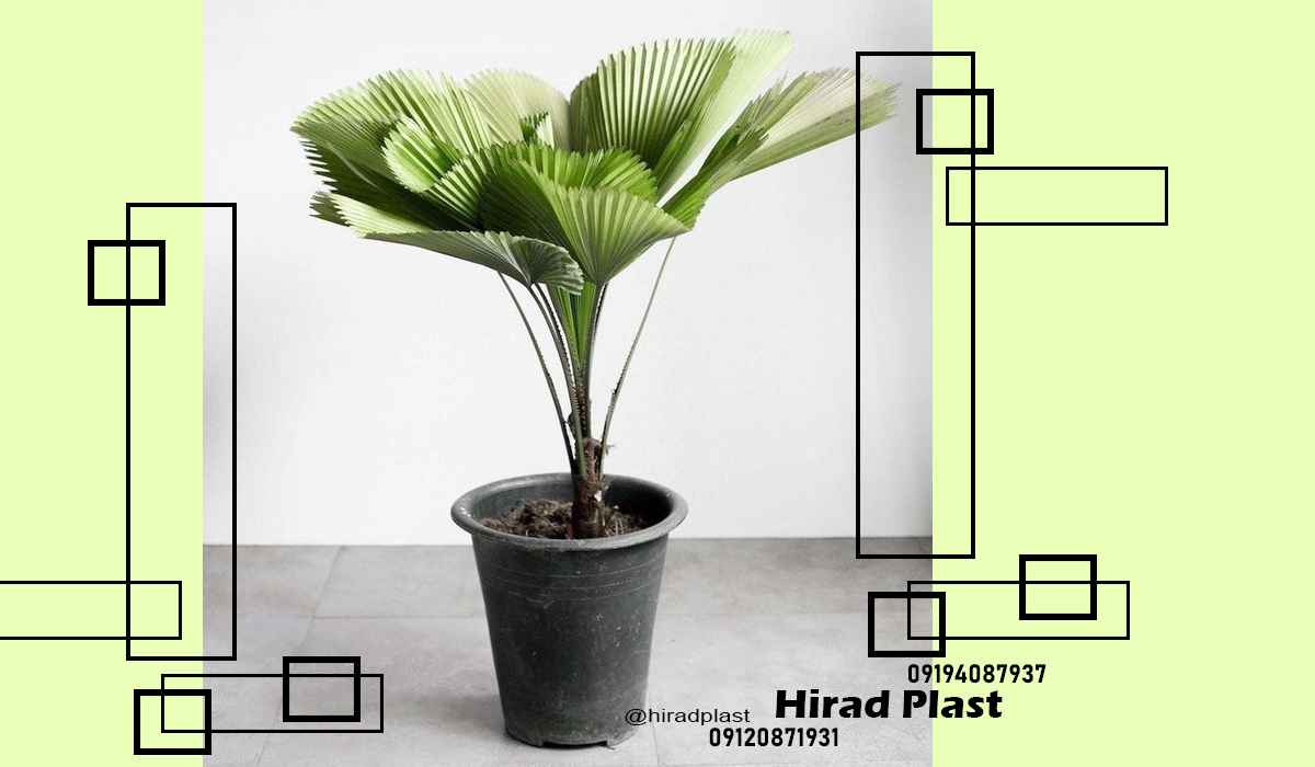 گلدان پلاستیکی سطلی