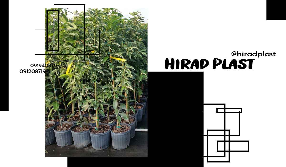 گلدان پلاستیکی سطلی