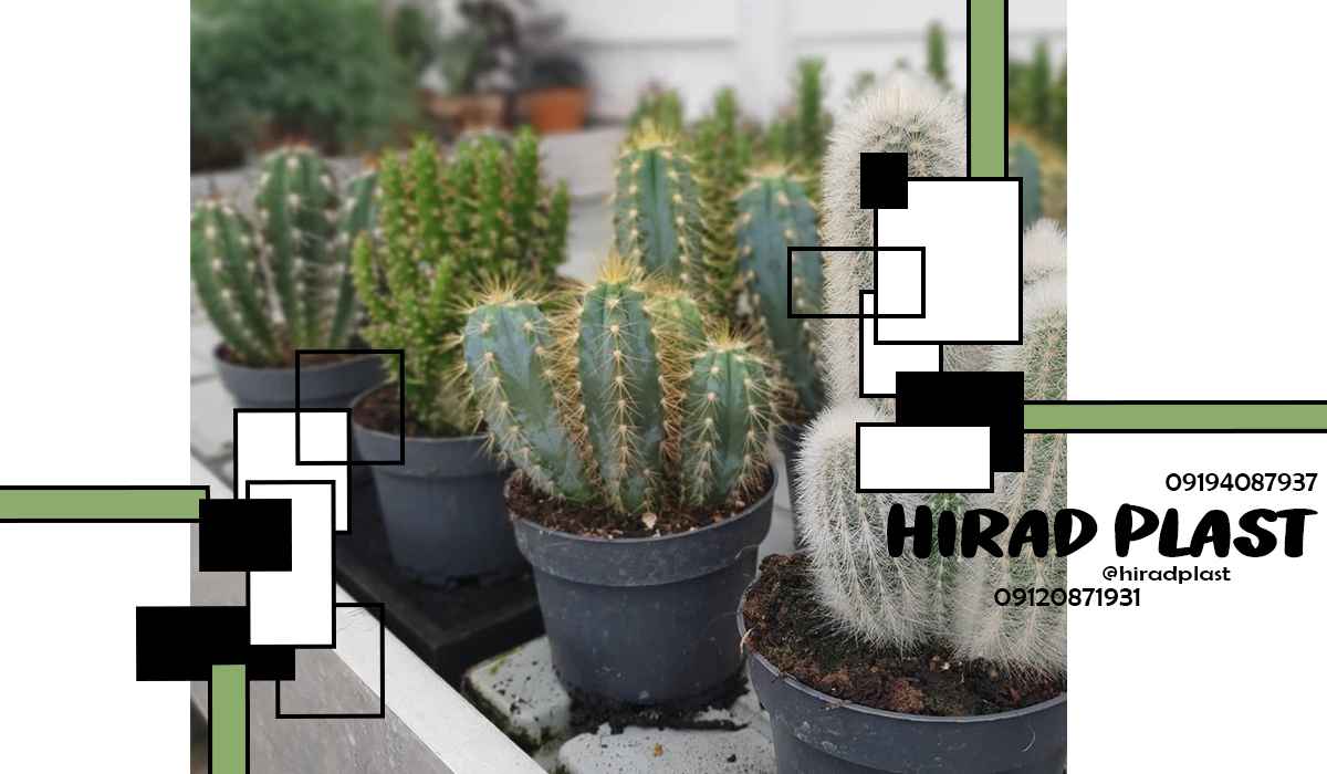 گلدان پلاستیکی عمده