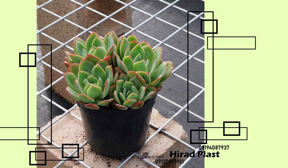 گلدان پلاستیکی عمده