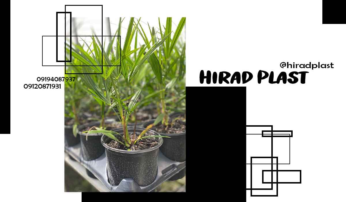 گلدان پلاستیکی مشکی