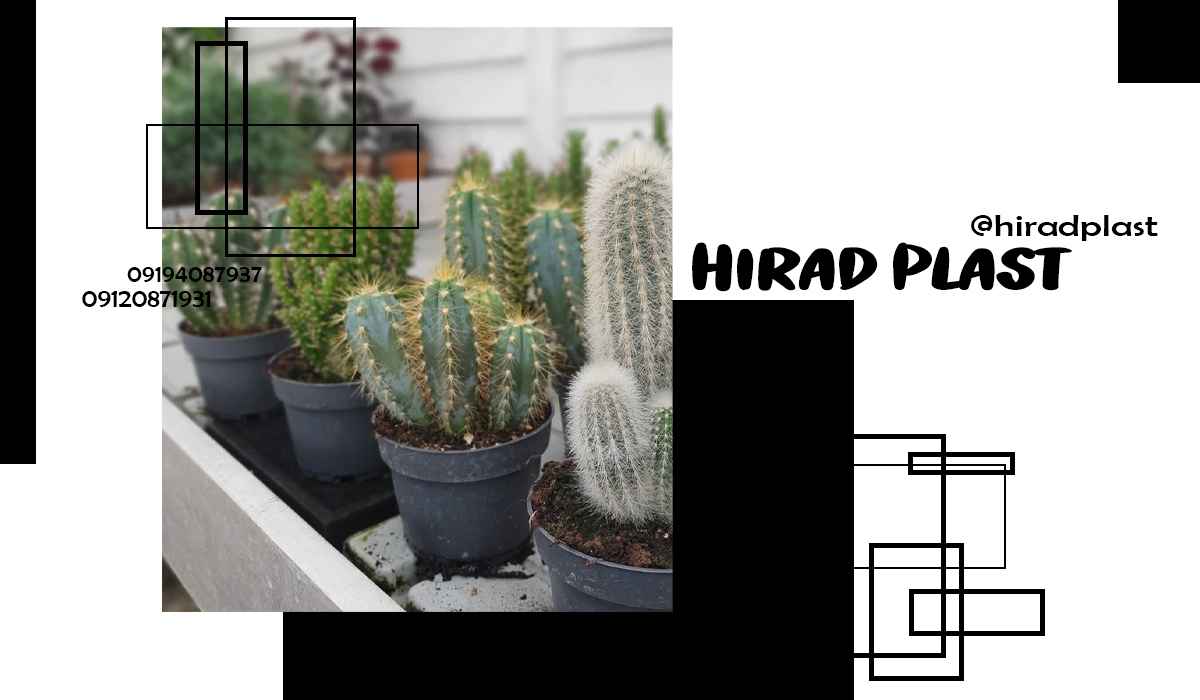 گلدان پلاستیکی نشا