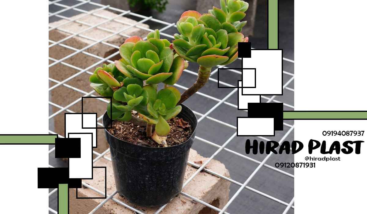 گلدان پلاستیکی کشاورزی