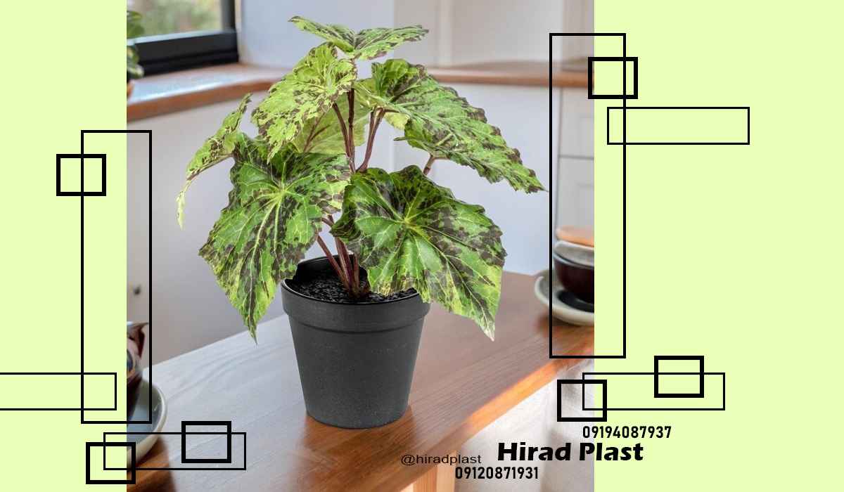 گلدان پلاستیکی کشاورزی
