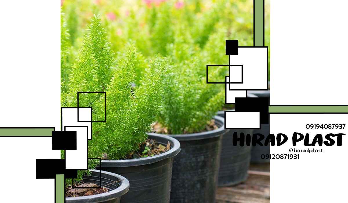 گلدان پلاستیکی گلخانه