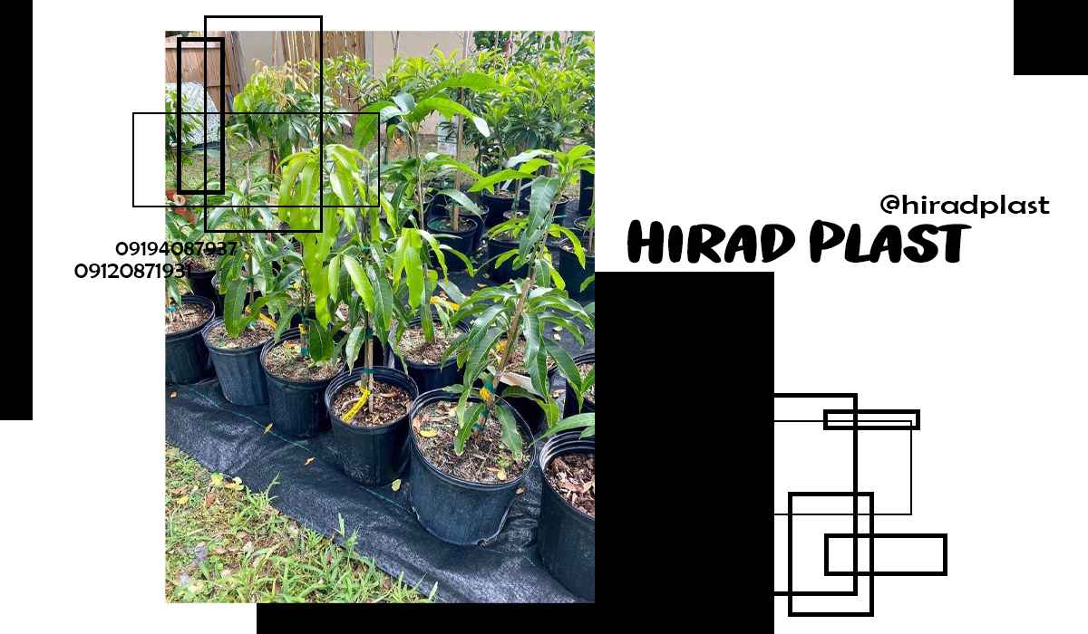 گلدان پلاستیکی گلخانه ای