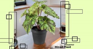 گلدان پلاستیکی گلخانه ای