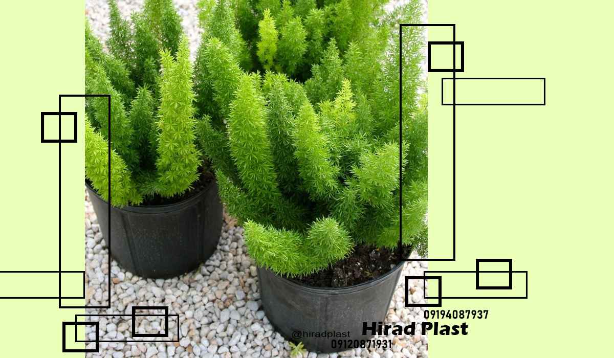 گلدان پلاستیکی