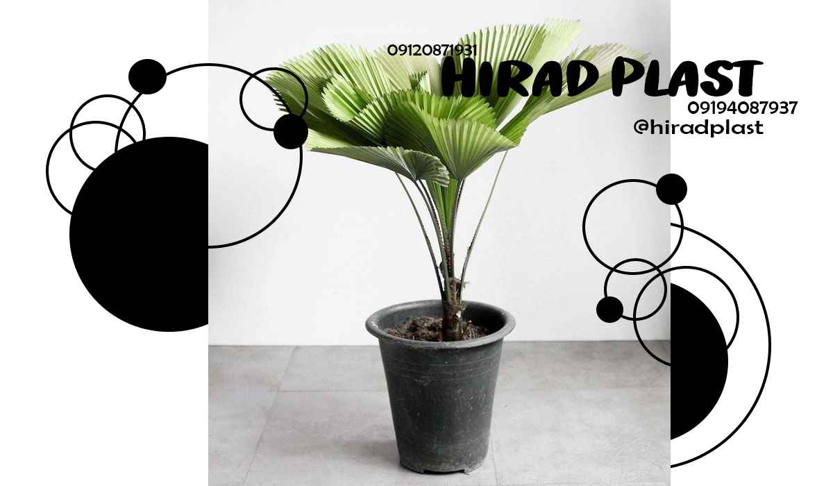 خرید گلدان پلاستیکی