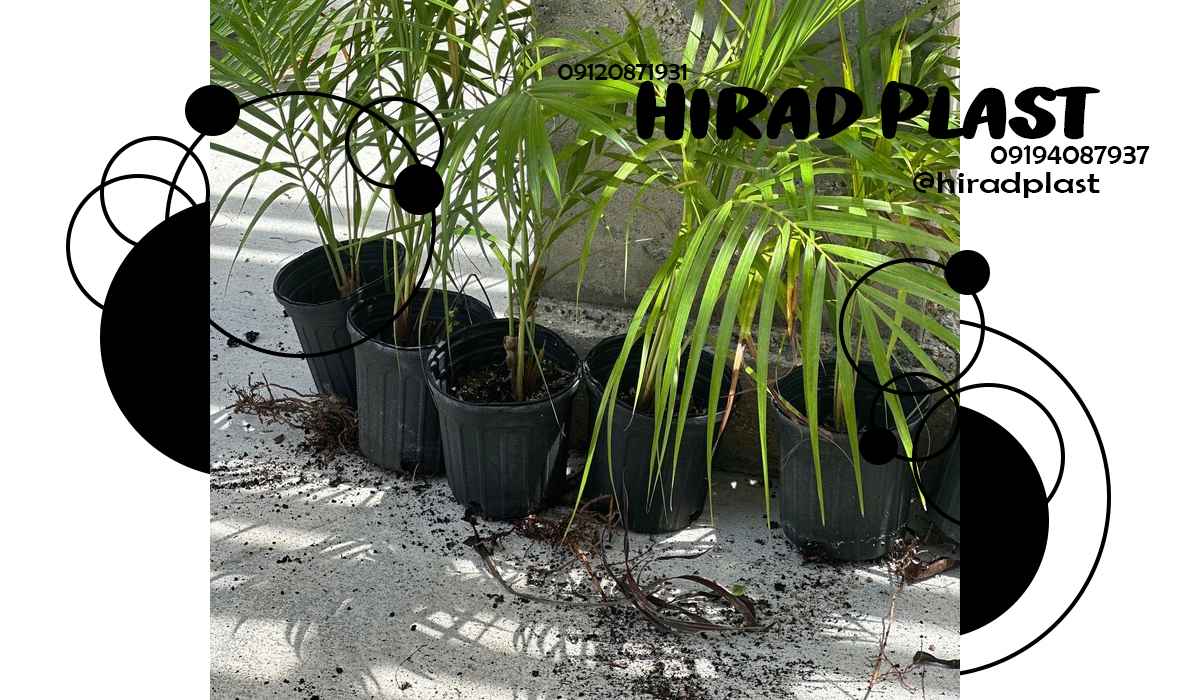 گلدان پلاستیکی ارزان