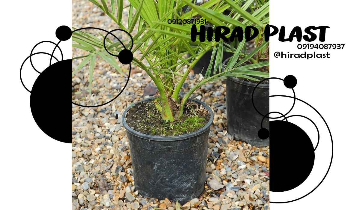گلدان پلاستیکی سطلی