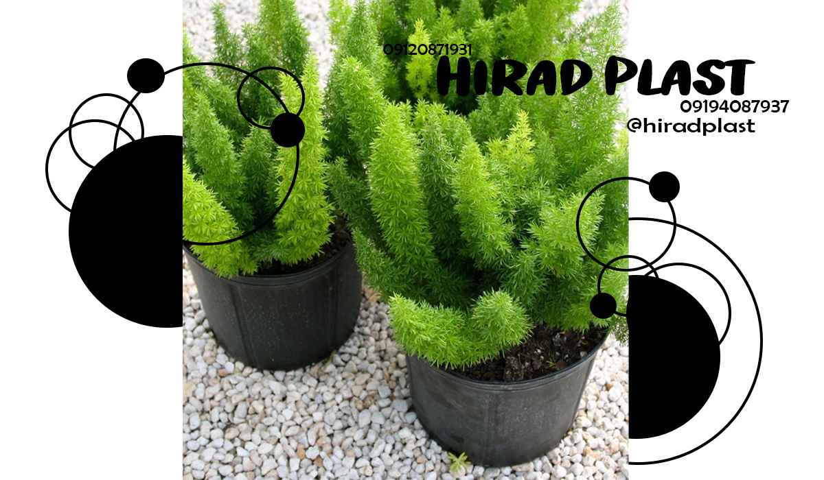 گلدان پلاستیکی عمده