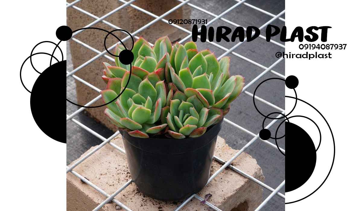 گلدان پلاستیکی نشا