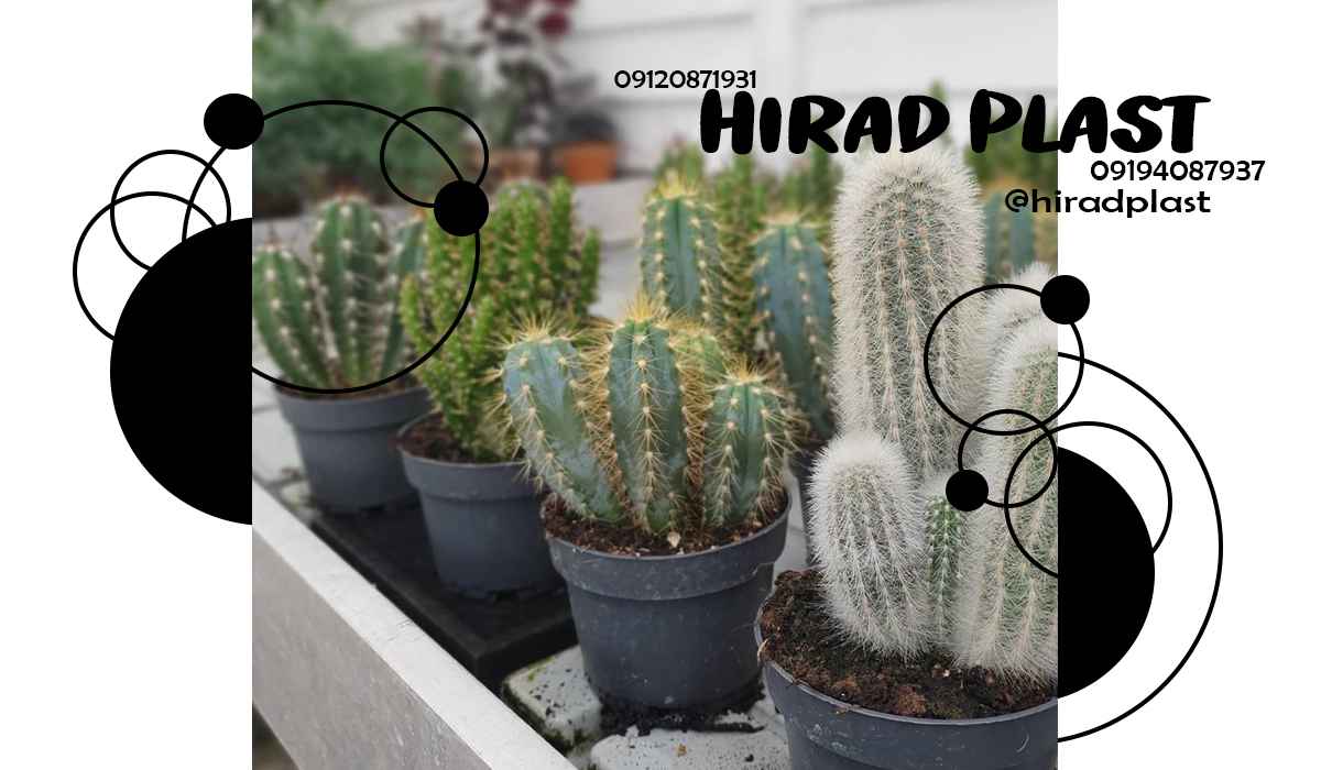 گلدان پلاستیکی گلخانه