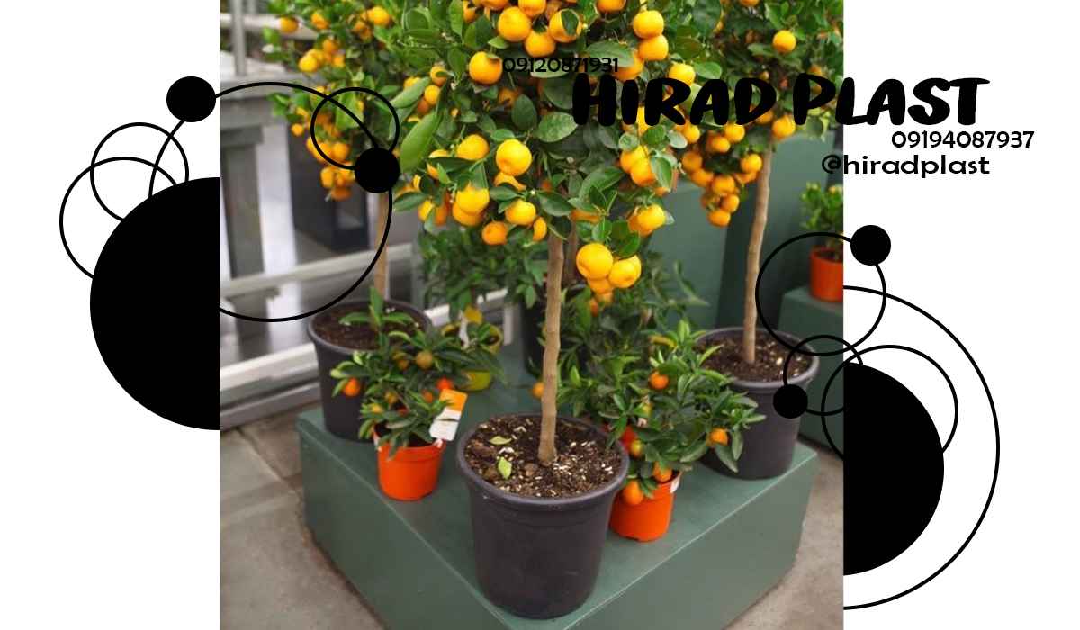 گلدان گلخانه ای