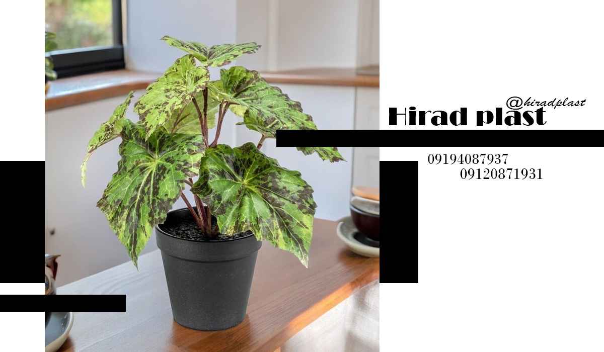 خرید گلدان پلاستیکی