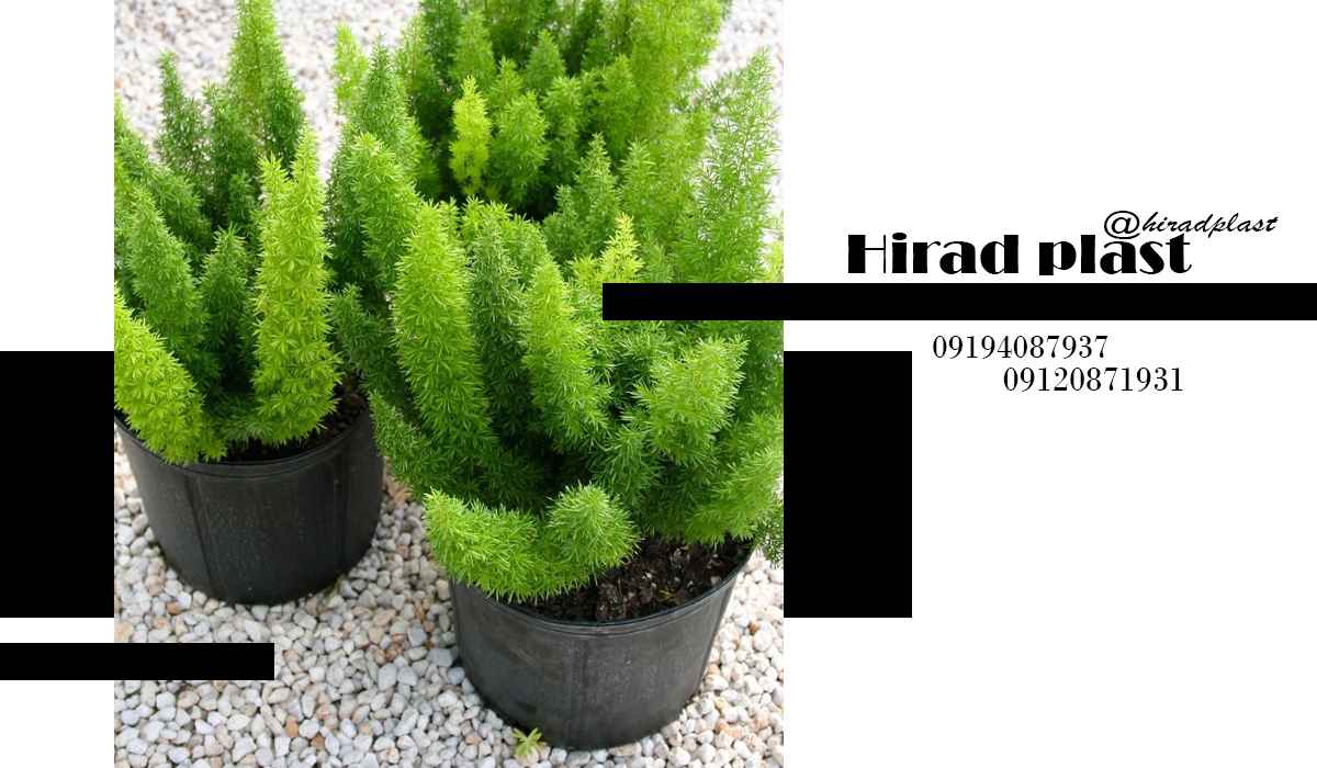 قیمت گلدان پلاستیکی