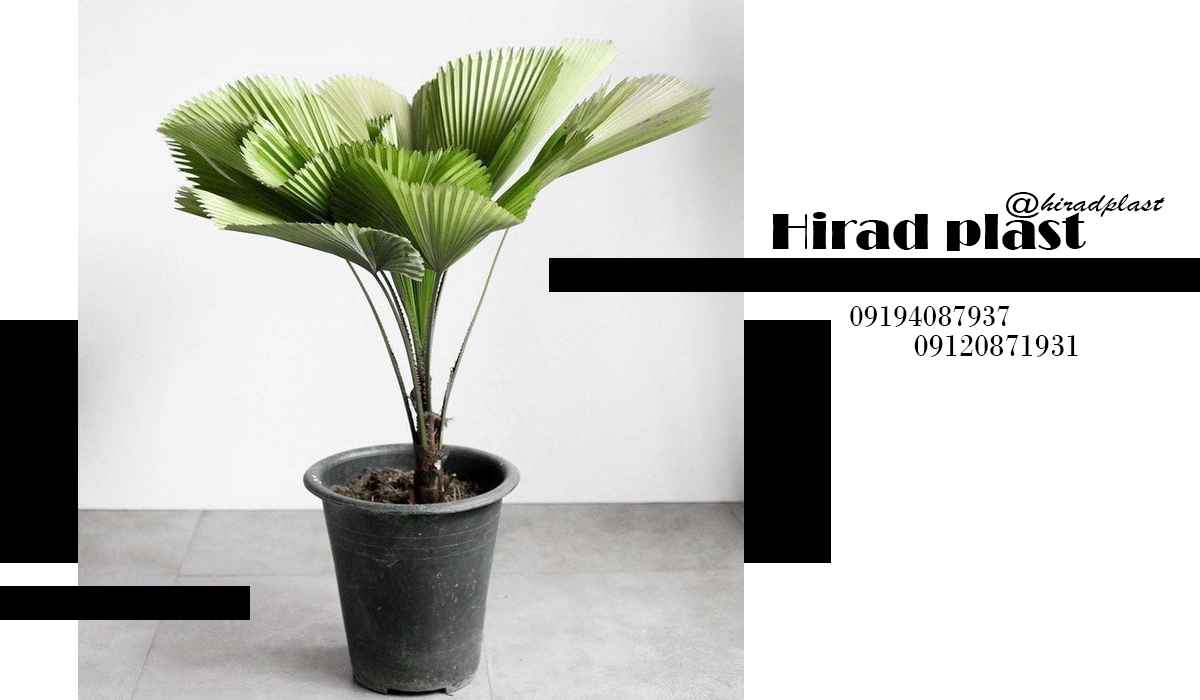 گلدان پلاستیکی سطلی