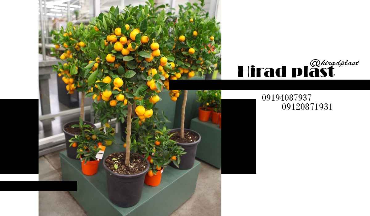 گلدان پلاستیکی کشاورزی