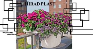 گلدان تراسی