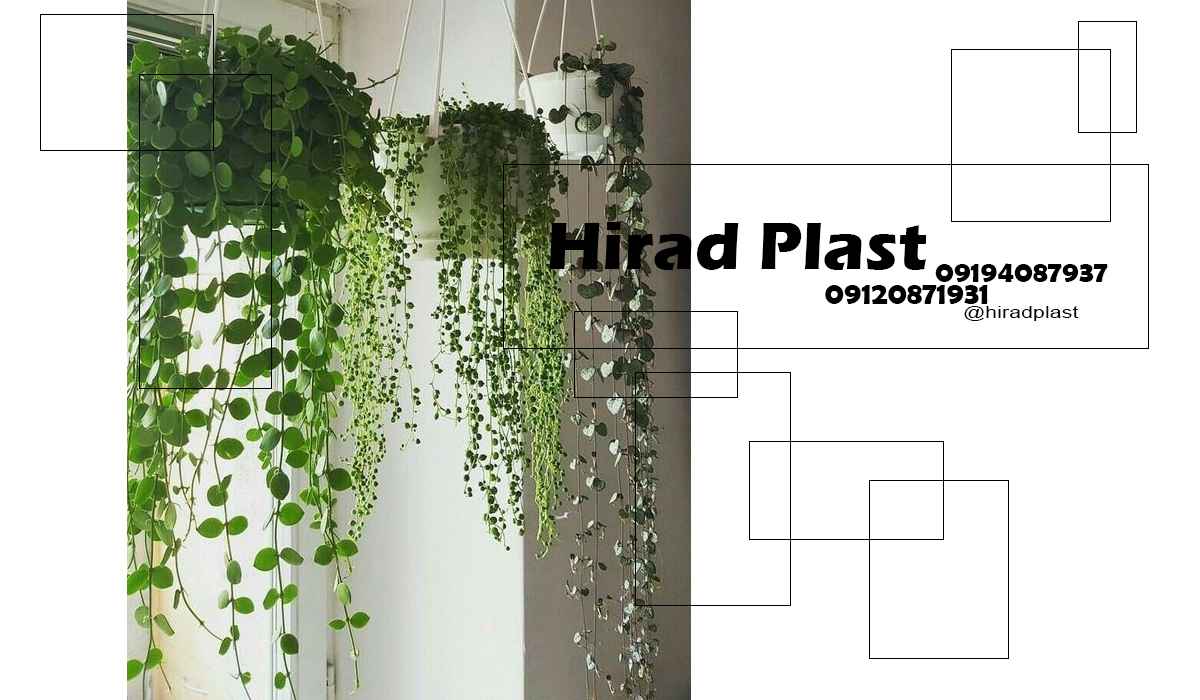 خرید گلدان آویزی