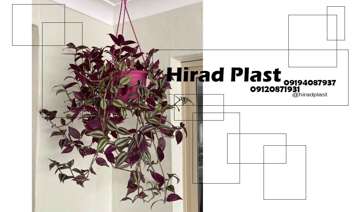 خرید گلدان اویزی