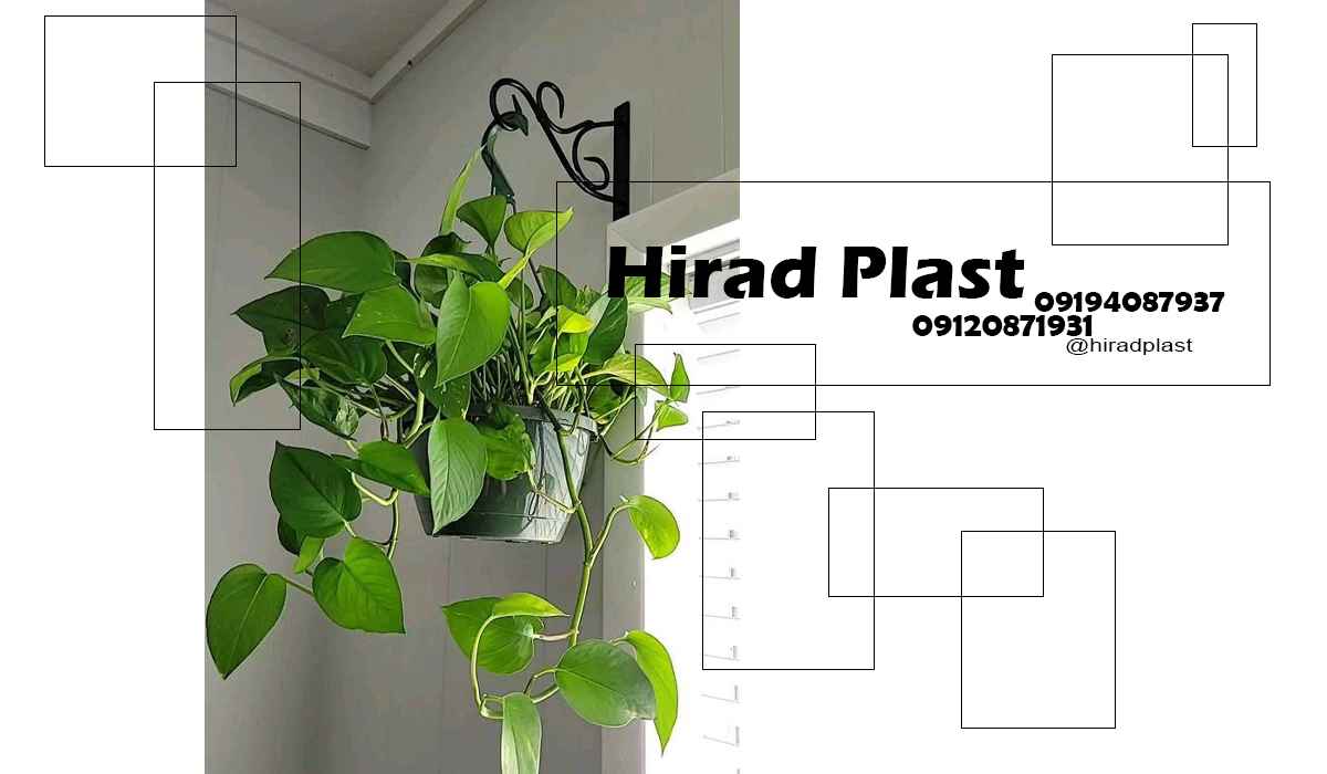 خرید گلدان پلاستیکی