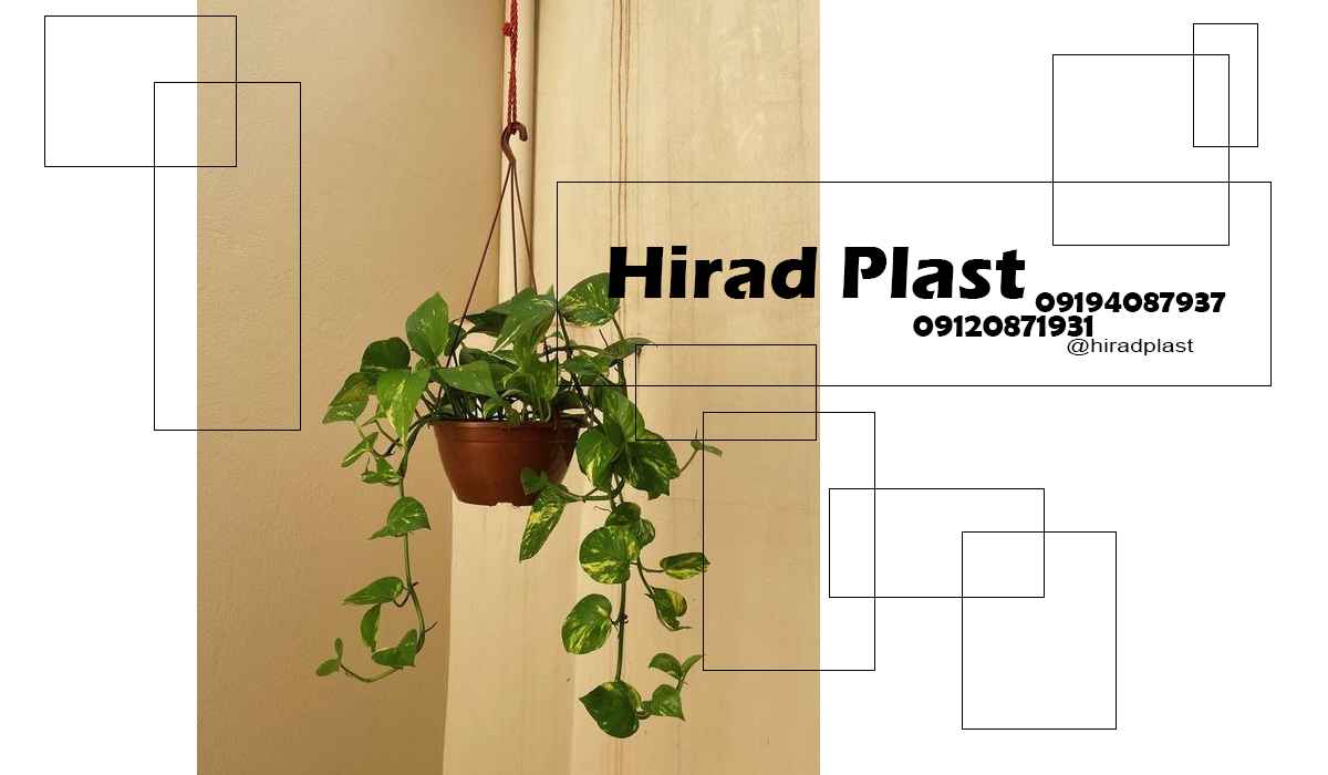 گلدان اپارتمانی