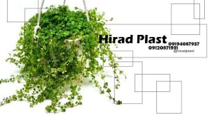 گلدان پلاستیکی