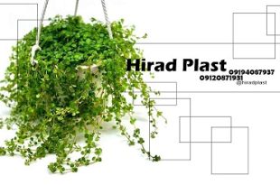 گلدان پلاستیکی